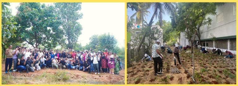 Tiger Analytics and Ruva Foundation Plant 6000 Saplings in Chennai and Bengaluru to Mark International Ozone Day | International Khabar