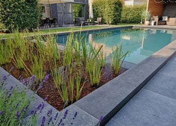 EcoScapes Landscaping Collaborates with Fluidra India to Source Premium Bio Swimming Pool Systems and Materials