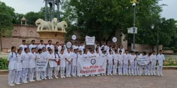 World Animal Protection Appeals to Chief Minister of Rajasthan to End Elephant Rides on Occasion of World Elephant Day
