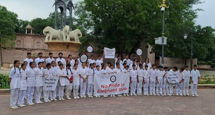 World Animal Protection Appeals to Chief Minister of Rajasthan to End Elephant Rides on Occasion of World Elephant Day