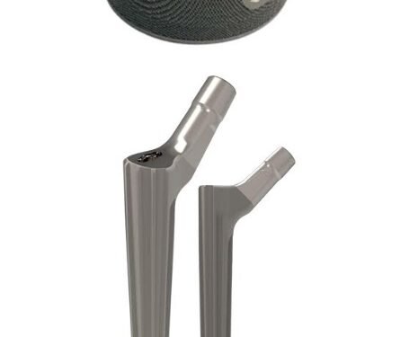 Meril Launches HALO Stem and Latitud Revision Cup System for Anatomical Reconstruction | International Khabar Meril Launches HALO Stem and Latitud Revision Cup System for Anatomical Reconstruction