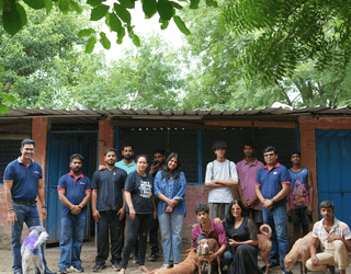 Zigly Foundationaposs Community Feeding Initiative Crosses 5000 Kg Mark Reaching Dogs Across Shelters and Communities | International Khabar Zigly Foundation's Community Feeding Initiative Crosses 5,000 Kg Mark, Reaching Dogs Across Shelters and Communities