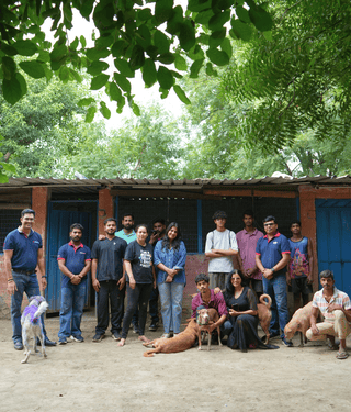 Zigly Foundationaposs Community Feeding Initiative Crosses 5000 Kg Mark Reaching Dogs Across Shelters and Communities | International Khabar Zigly Foundation's Community Feeding Initiative Crosses 5,000 Kg Mark, Reaching Dogs Across Shelters and Communities
